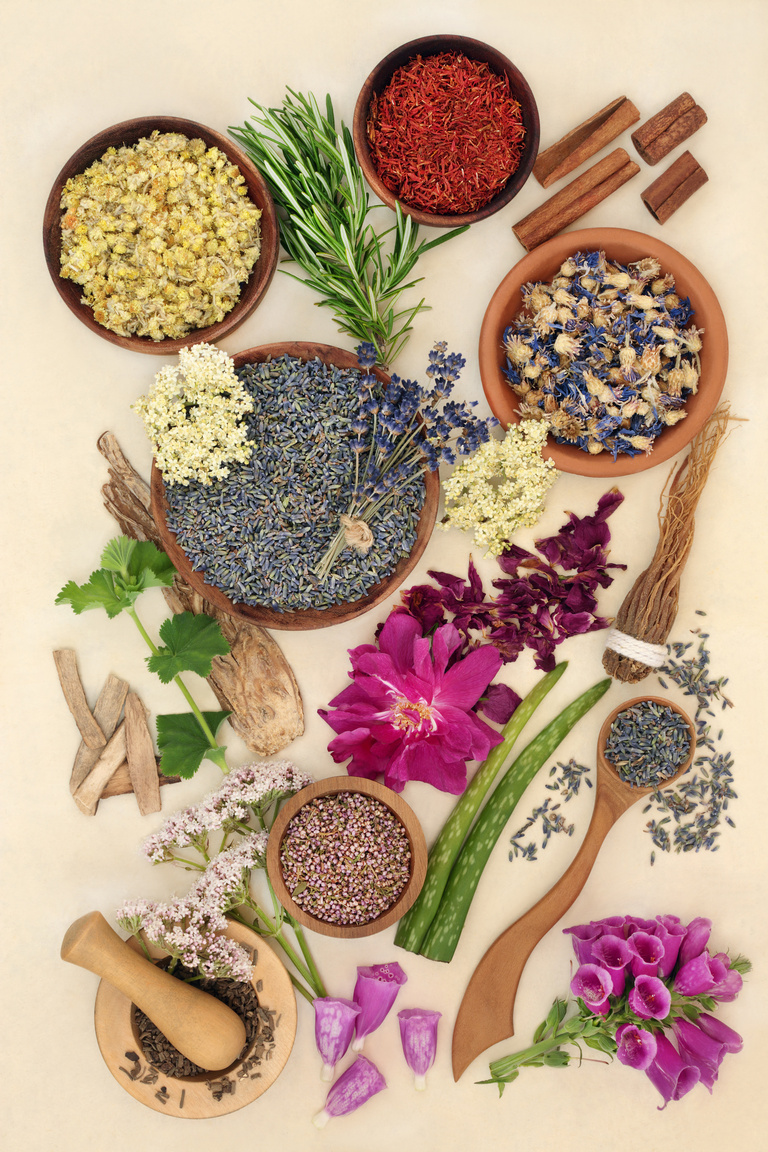 Healing Herbs for Health and Wellness